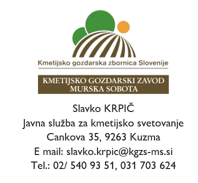 Posnetek zaslona 2025-02-27 073227